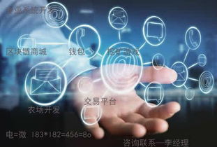 趣步系統(tǒng)定制與軟件系統(tǒng)定制開發(fā) 專業(yè)解決方案與應(yīng)用前景